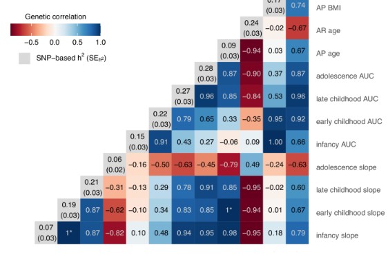 A framework for conducting GWAS using repeated measures data with an application to childhood BMI