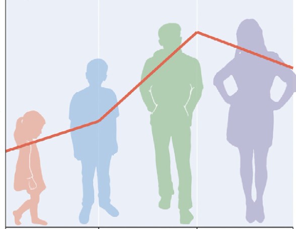 Prenatal urban environment and blood pressure trajectories from childhood to early adulthood