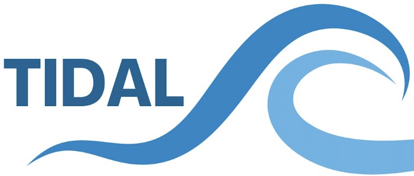 <strong>tidal</strong>: Tool to Implement Developmental Analysis of Longitudinal data Logo